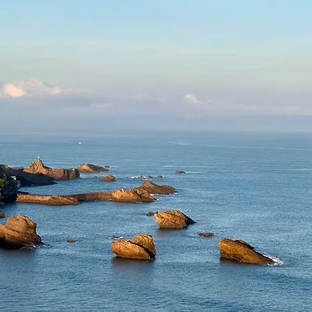 Amazing Cosy With Ocean View & Pool Biarritz